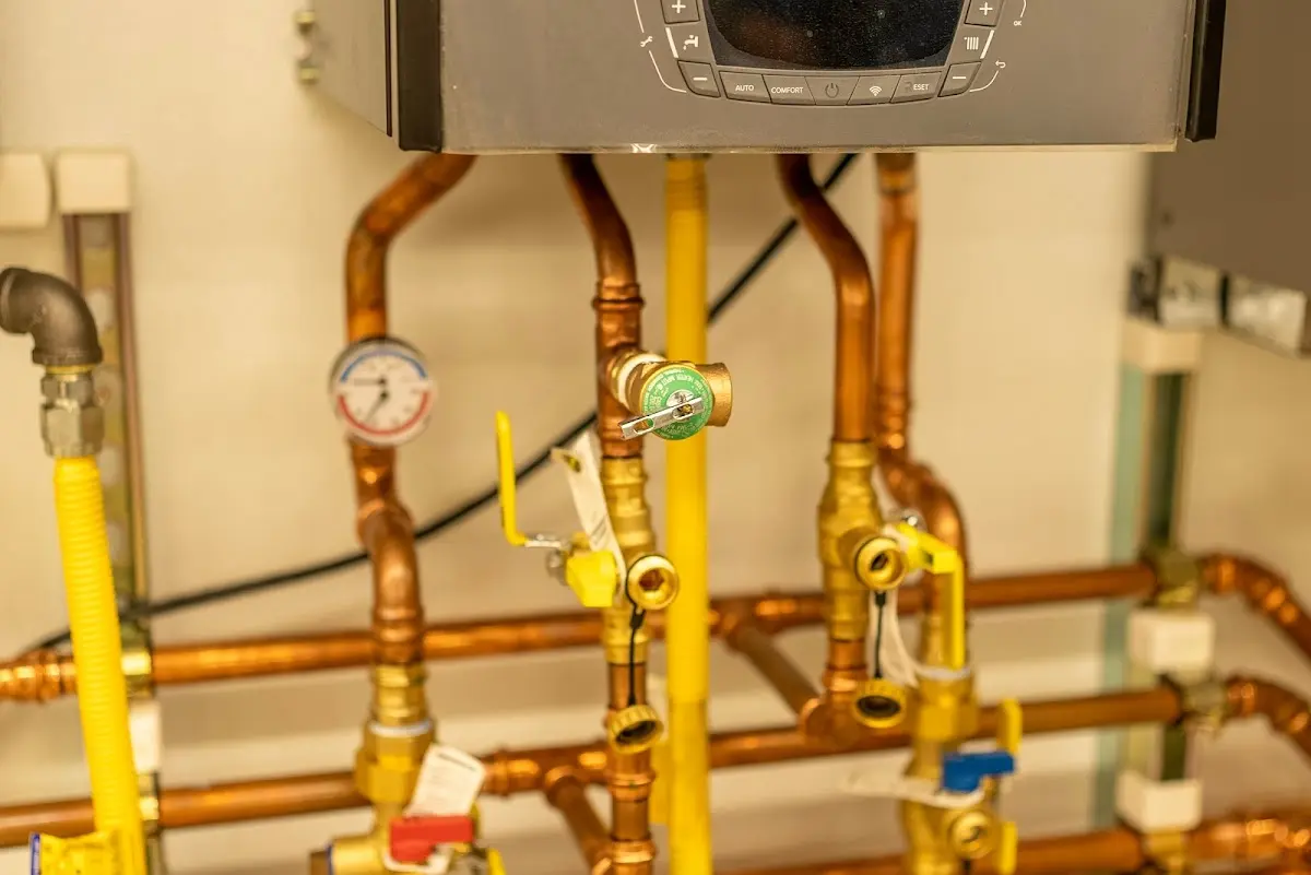 Licensed technician providing Sump Pump Repair for a homeowner in Auburn Lake Trails